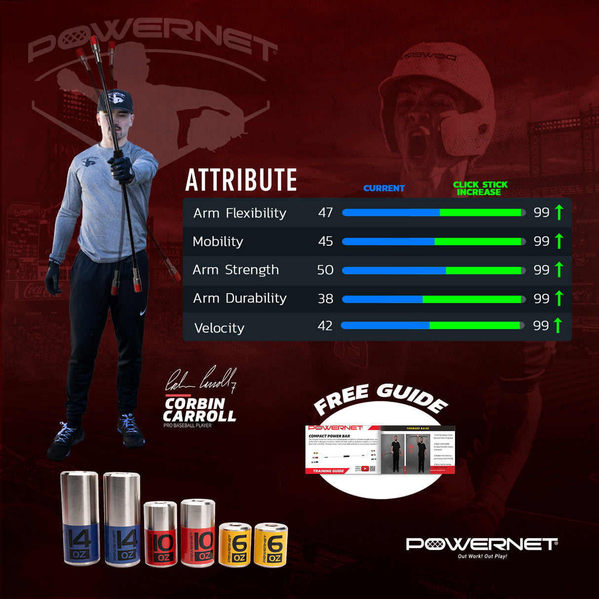 PRO BUNDLE | Arm Strength Bundle TrainingNets by PowerNet