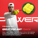 Micro 2" Weighted Training Balls | Choose from 3.5, 5.5 oz Sports PowerNet