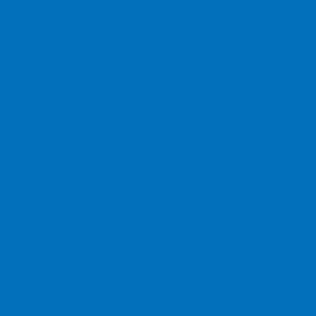 16x10 Replacement Rolling Bag Replacement Parts PowerNet Royal Blue
