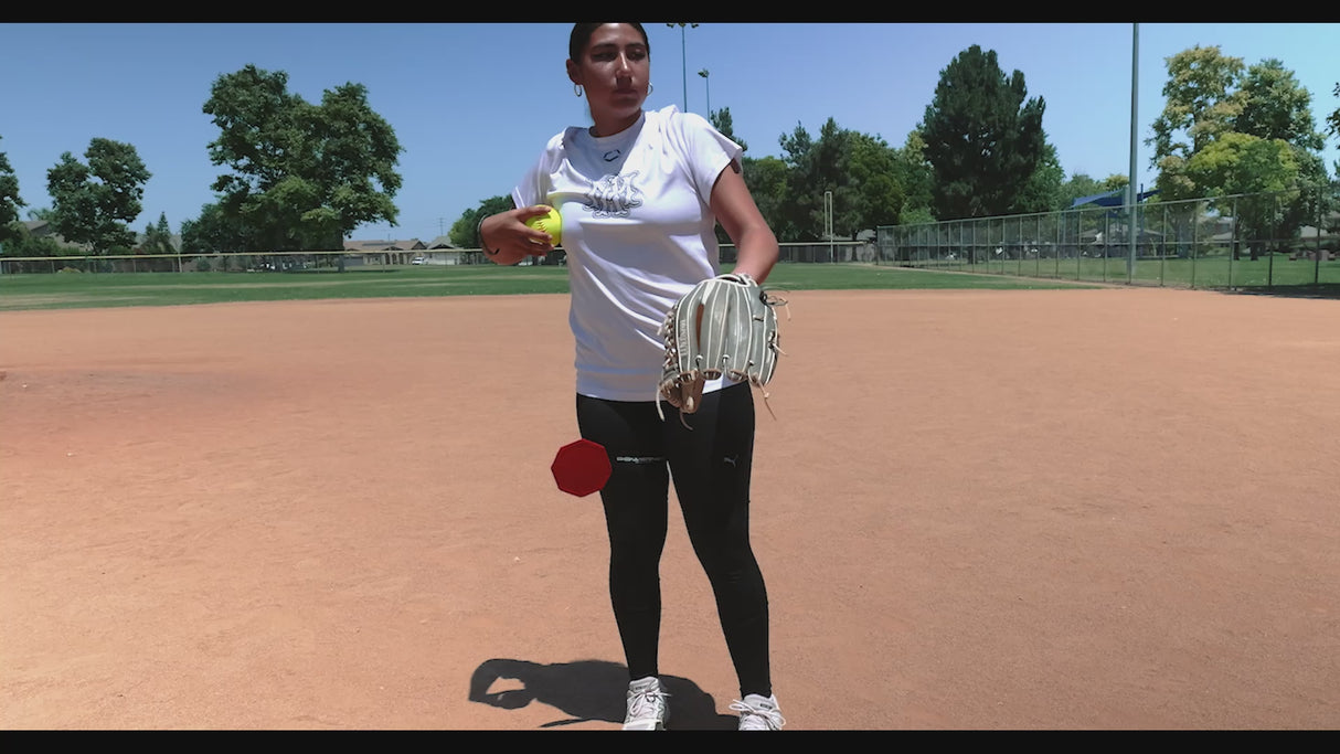Windmill Trainer Softball Pitching Aid TrainingNets by PowerNet