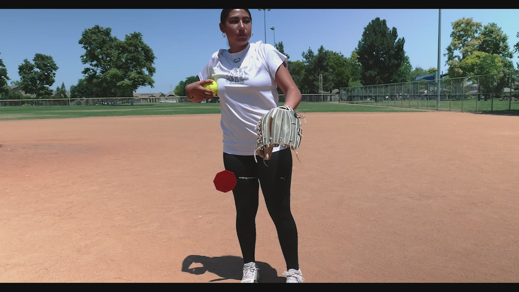 Windmill Trainer Softball Pitching Aid TrainingNets by PowerNet