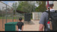 Coach's Baseball Backpack TrainingNets by PowerNet
