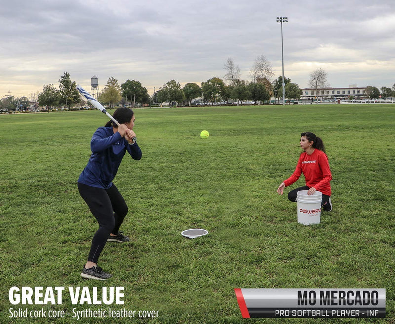 Triple Threat Team Training Net Softball Bundle