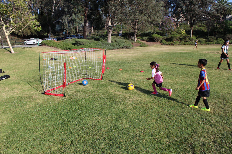 Soccer Goal 8x4 Portable Bow Style Net 1 Goal w/ Carrying Bag