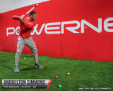 Micro 2" Weighted Training Balls 12 PK COMPLETE Set Sports PowerNet